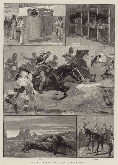 Life and Career of a Military Charger by John Charlton